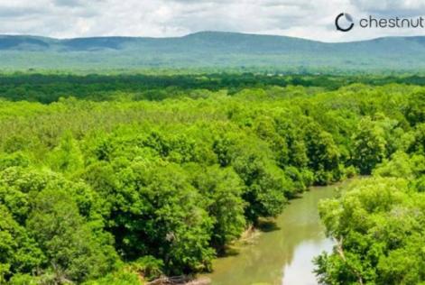 An aerial view of a lush green forest with a winding river cutting through the trees. In the distance, blue-green mountains rise under a cloudy sky. The logo for Chestnut Carbon appears in the upper-right corner.