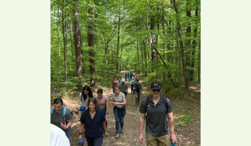 Participants walk together along a forest trail during a guided hike through Duke Forest