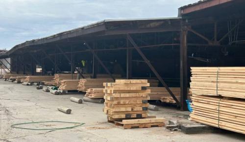 Stacks of freshly cut wooden boards are piled outside a large open shed under a cloudy sky.