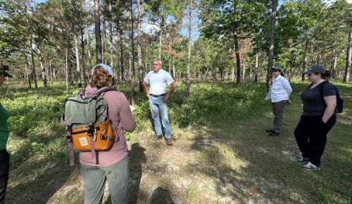 A small group stands on a forest path listening to a man speaking about forest management.