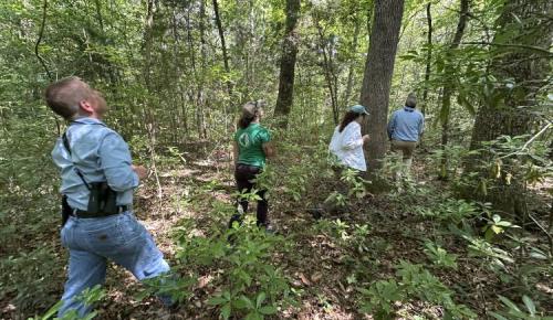 Several people look upward among thick vegetation and tall trees.