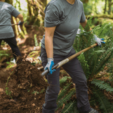 Several volunteers standing in a fern-filled forest glade. 